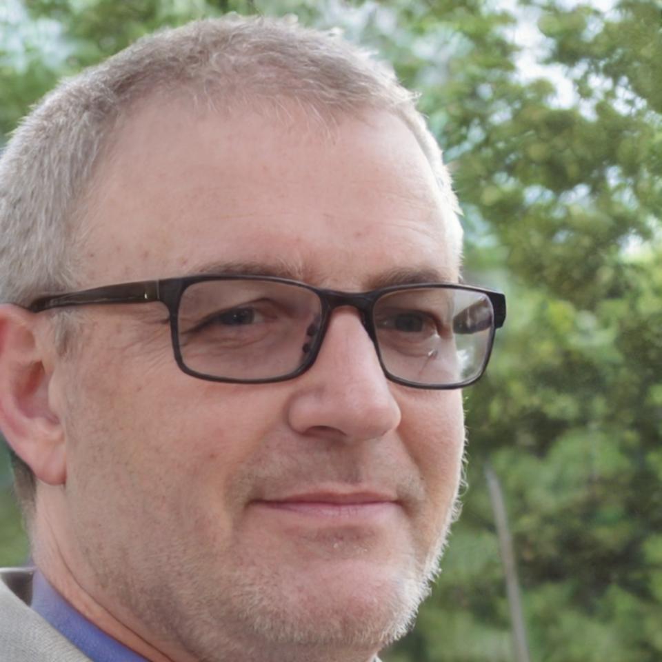 Portrait professionnel de Théophile Rousseau